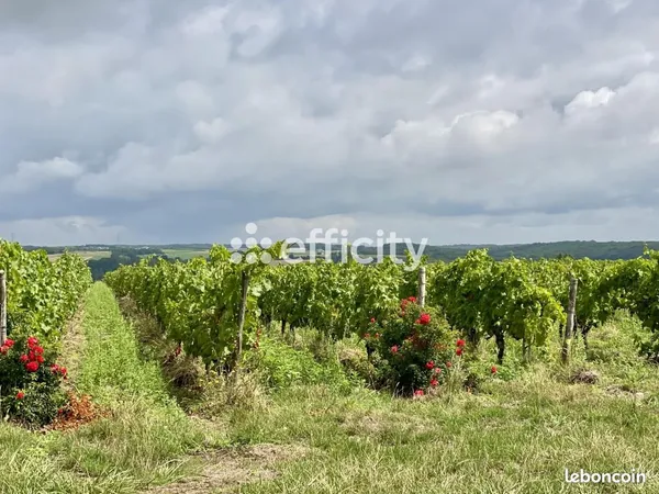 Terrain 967 m² Cheille 