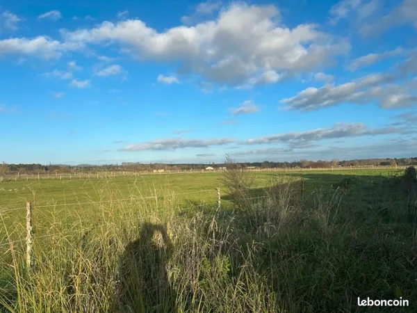 Terrain 8 000 m² Saint Christoly De Blaye 