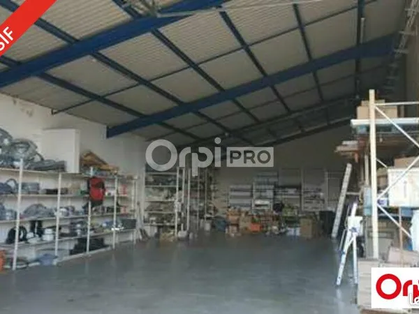 Local d'activité 843 m² 