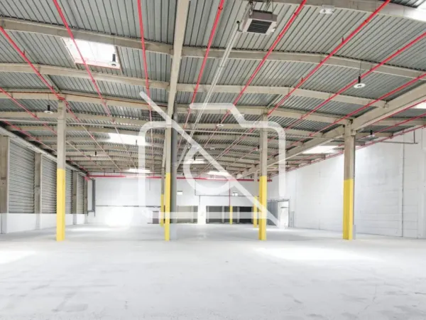 DL Real Estate - Cellule logistique rénovée, disponible imm? 