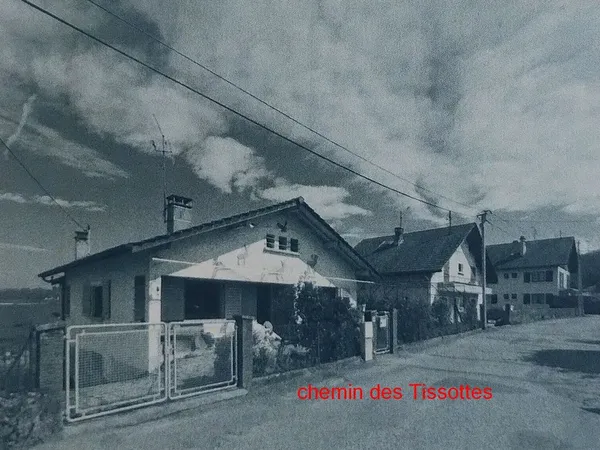 Maison Thonon Est, vue lac montagne, 2 appartements. 
