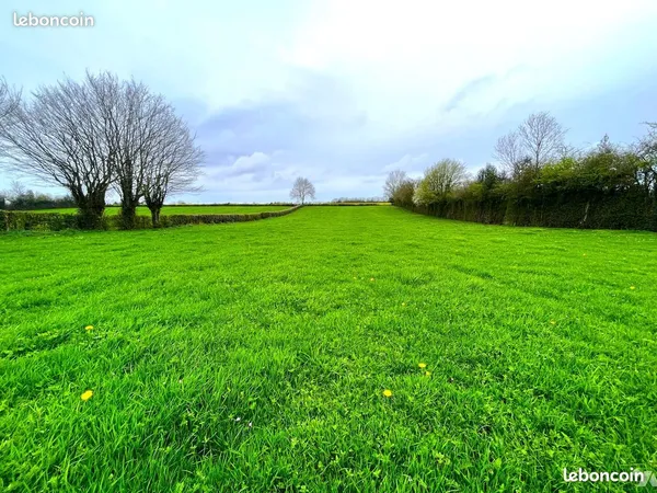 Terrain 9 000 m² Criquiers 