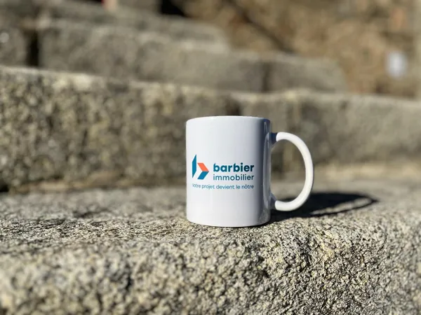 Immobilier Professionnel à louer Vannes 