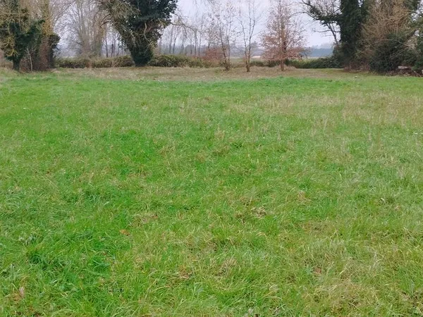 Grand terrain de loisir 