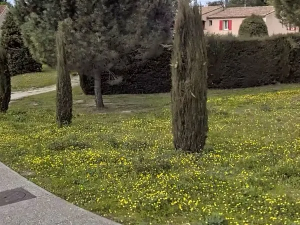 Terrain 427 m² 