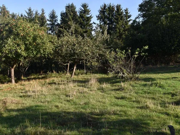 Propriété 1 pièce 