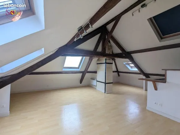 Loft 1 pièce 25 m² 