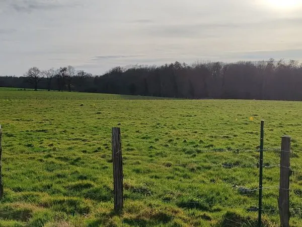 Terrain constructible , viabilisé 