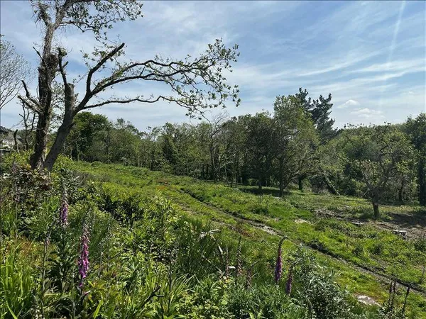 Propriété 