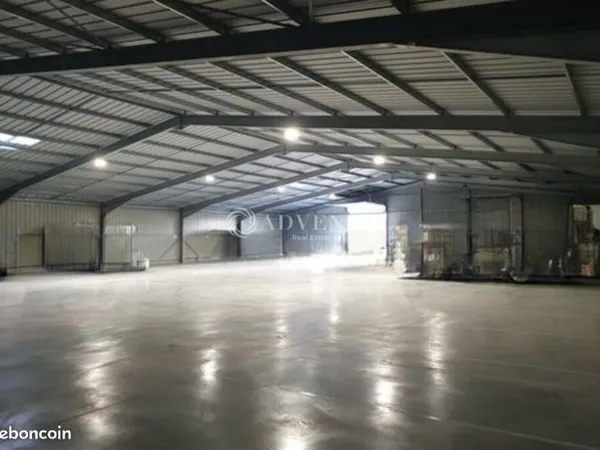Local d'activité 1200 m² 