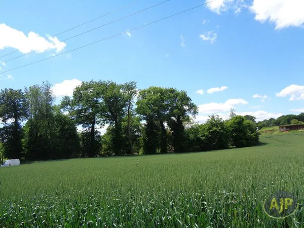 Terrain Serent 1042 m2