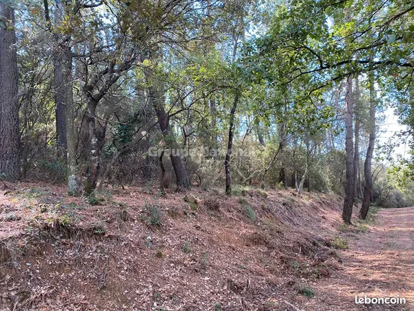 Terrain 16665 m² LE MUY 