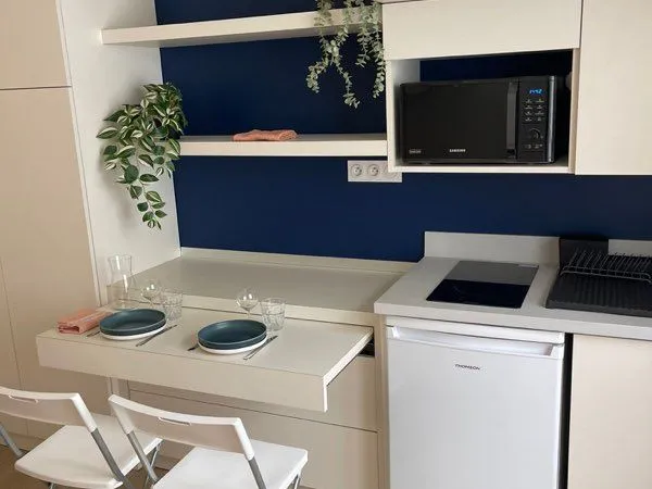 Magnifique appartement au coeur de Lyon 1er 