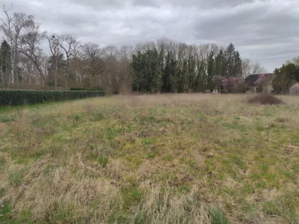 Terrain 46000 m² 