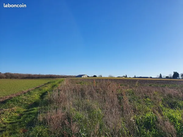 Terrain 1576 m² Thaims 