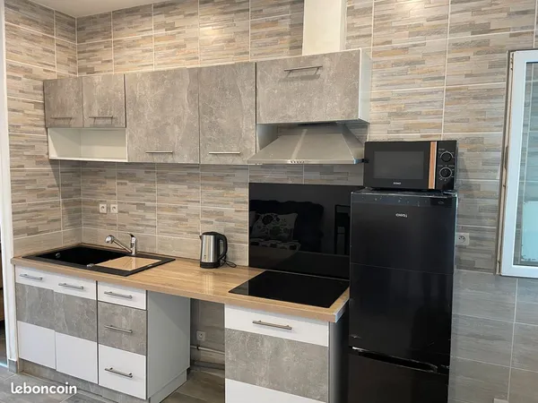 Appartement meublé de 40 m2 avec jardin à 20 min de Paris centre - Colocation possible 