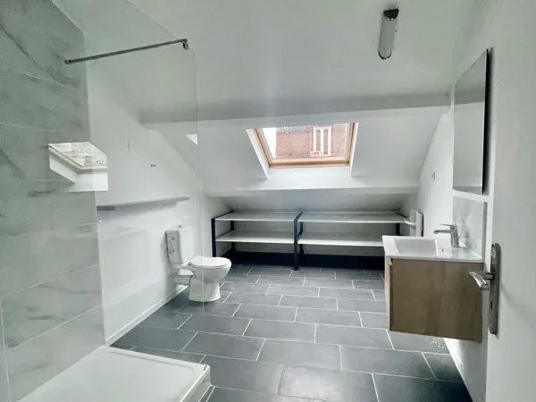 Appartement meublé 55 m² - Centre-ville, refait à neuf 