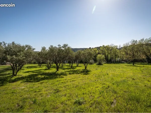 Grand terrain constructible 2 600 m² - Cadre naturel privilégié - Péret (Hérault) 