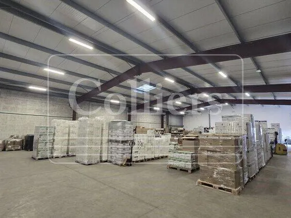 Local d'activité 1038 m² 