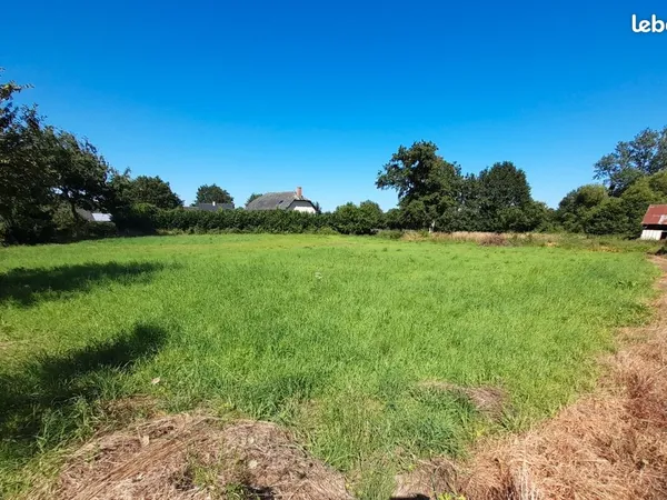 Terrain constructible 
