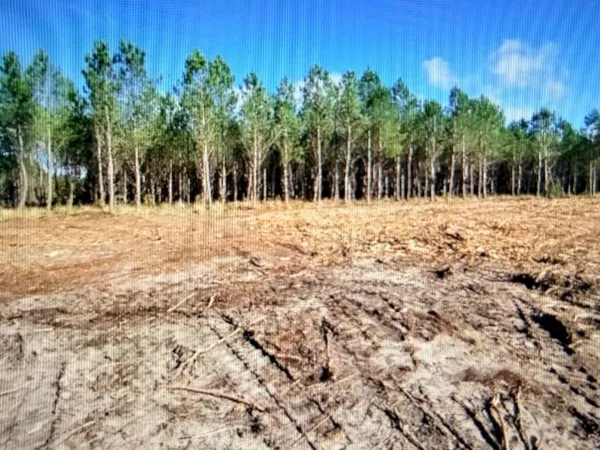 Terrain 628 m² 
