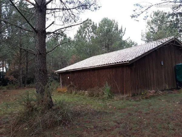 Grange en bois en forêt 