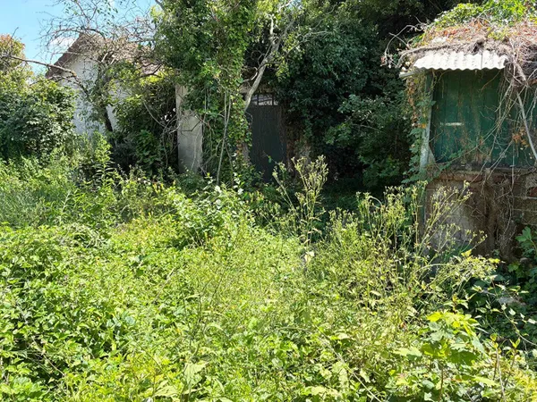 Propriété 