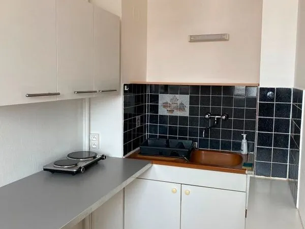 Strasbourg centre joli Studio 26m2 520 + ch 
