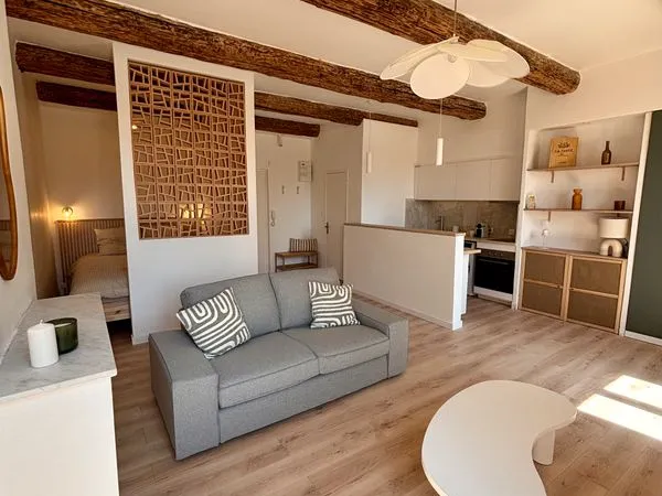 Grand Studio 40m2 rénové 