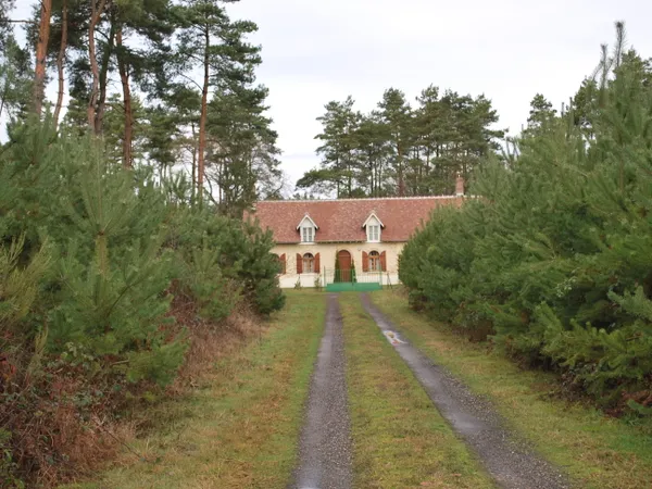 Charmante Maison en pleine forêt solognote avec grand jardin, proche de Beaugency et Val de Loire 