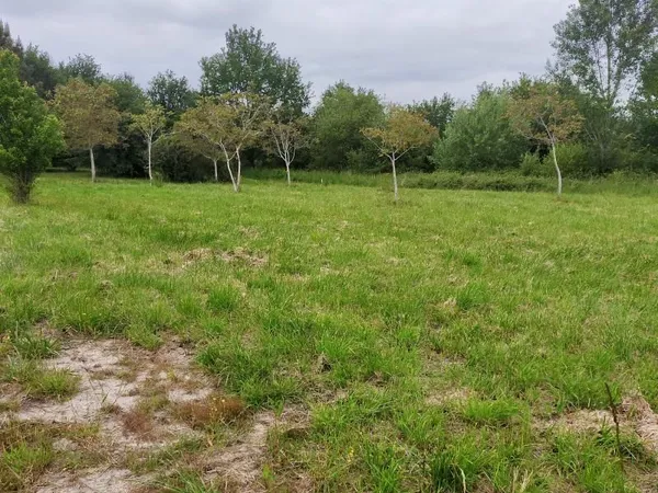 Terrain 800 m² Montussan 