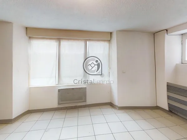 Appartement 1 pièce de 40 m2 en exclusivité sur Brignoud (Vi 