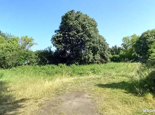 Terrain 1038 m² 