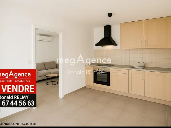 T3 en souplex avec studio indépendant - Île Penotte, Remblai à pied 