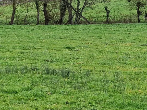 Terrain 1712 m² 
