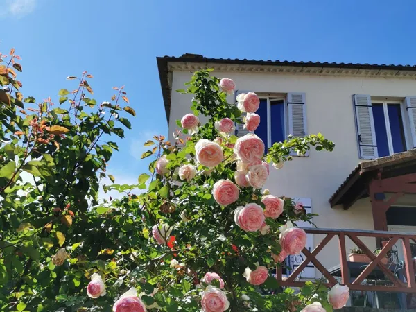 Vends maison 266m² 4 chambres et grand dortoir 