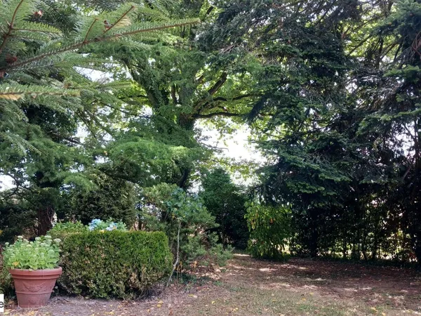 Belle longère et sa maison d'amis dans un environnement calme 