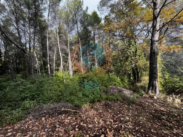 Terrain 9000 m² 