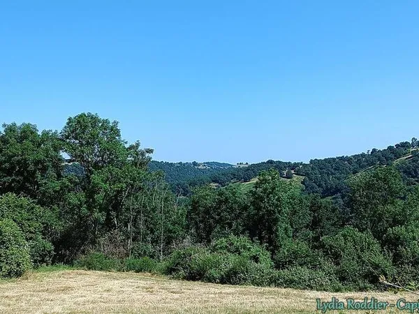 Propriété 