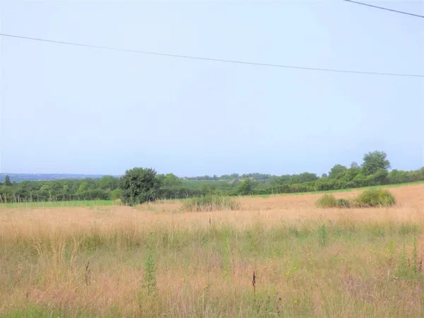 Terrain 2318 m² 