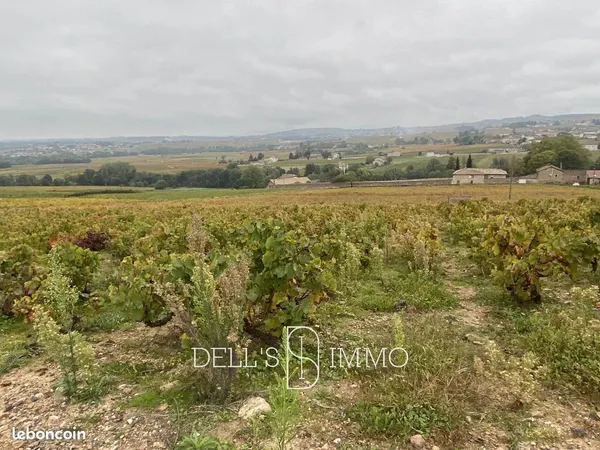 Terrain 2752 m² Fleurie 