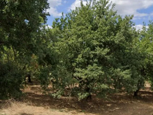 Terrain 635 m² 