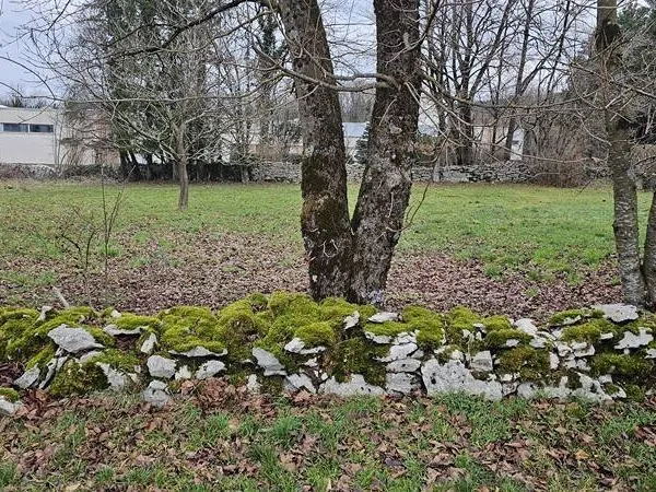 Terrain constructible 1000 m² 