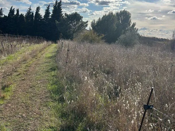 Vends terrain agricole 