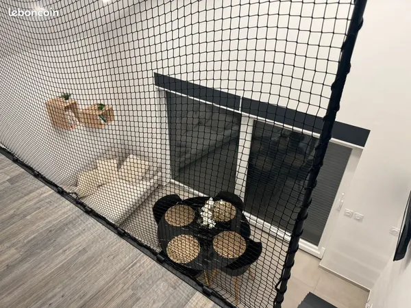 Petite maison individuelle 
