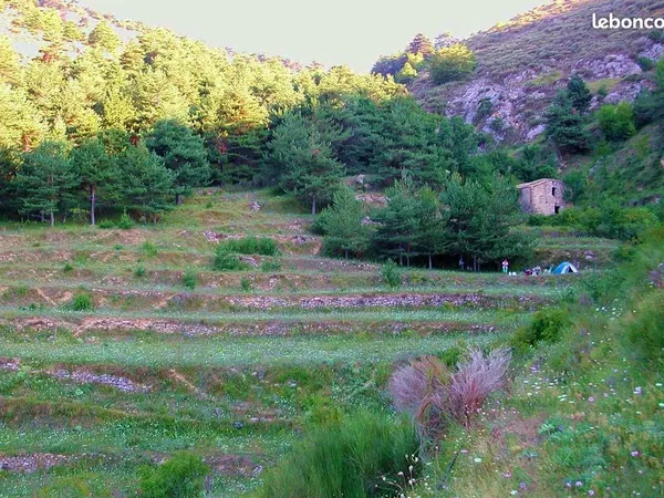 Vente terrain et bergerie 