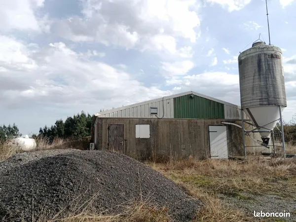 Local 450 m² 