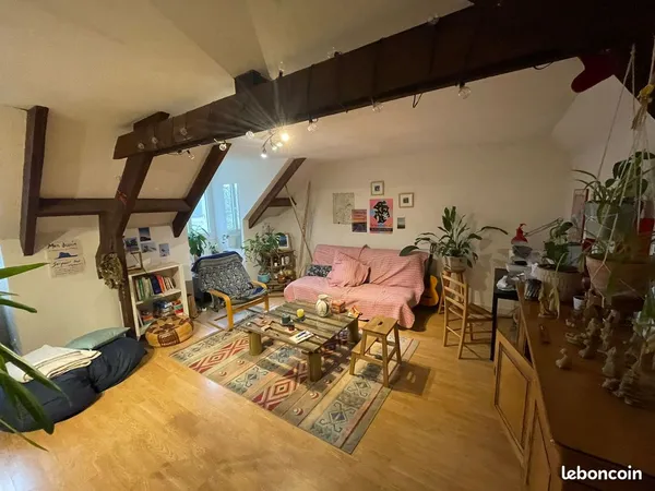 Recherche 2 colocataires 