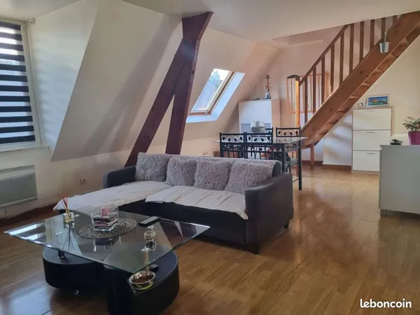 Duplex 3 pièces 50 m² 