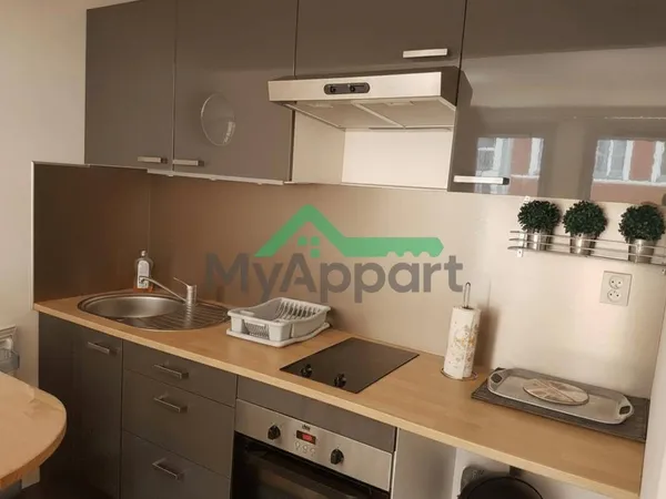 Appartement 1 pièce 30 m² 